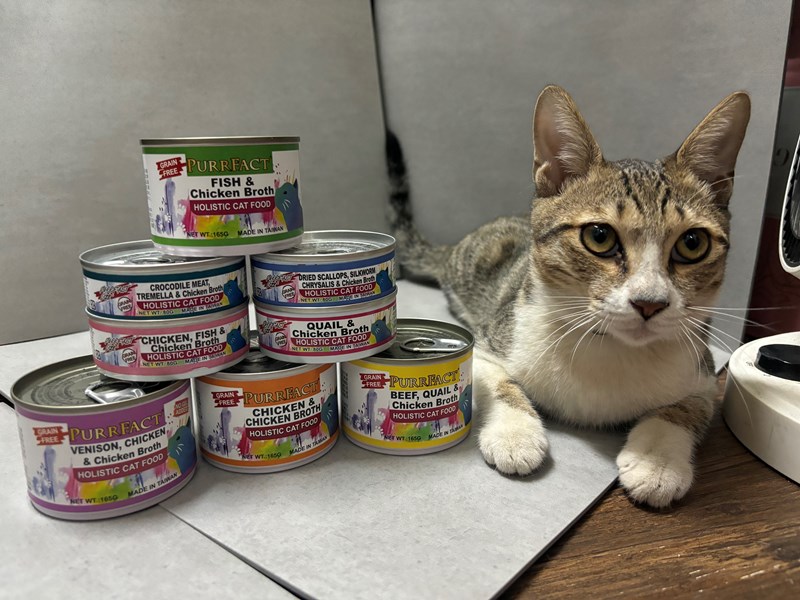 女人知己試用大隊,口碑行銷,部落客行銷,PURRFACT 波菲特貓用主食罐,主食罐,PURRFACT波菲特,貓主食罐,貓罐,PURRFACT波菲特貓用主食罐,魚肉蔓越莓主食罐,鮮嫩雞主食罐,鹿肉雞肉主食罐,牛肉鵪鶉貓主食罐,干貝蠶蛹配方,鱷魚肉白木耳配方,雞肉魚肉配方,安心鶉配方,評價,體驗,適口性佳,心得,成貓適用,高齡貓適用,質地是慕絲狀